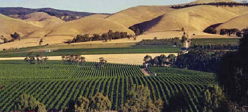 barossa