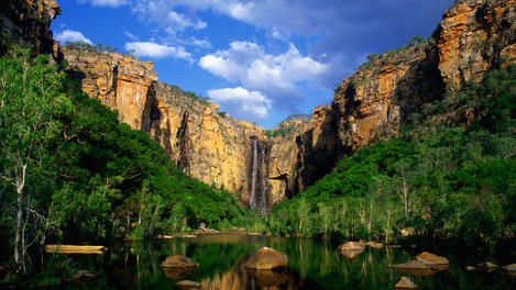 kakadu