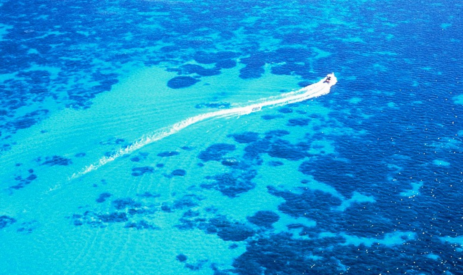 ningaloo