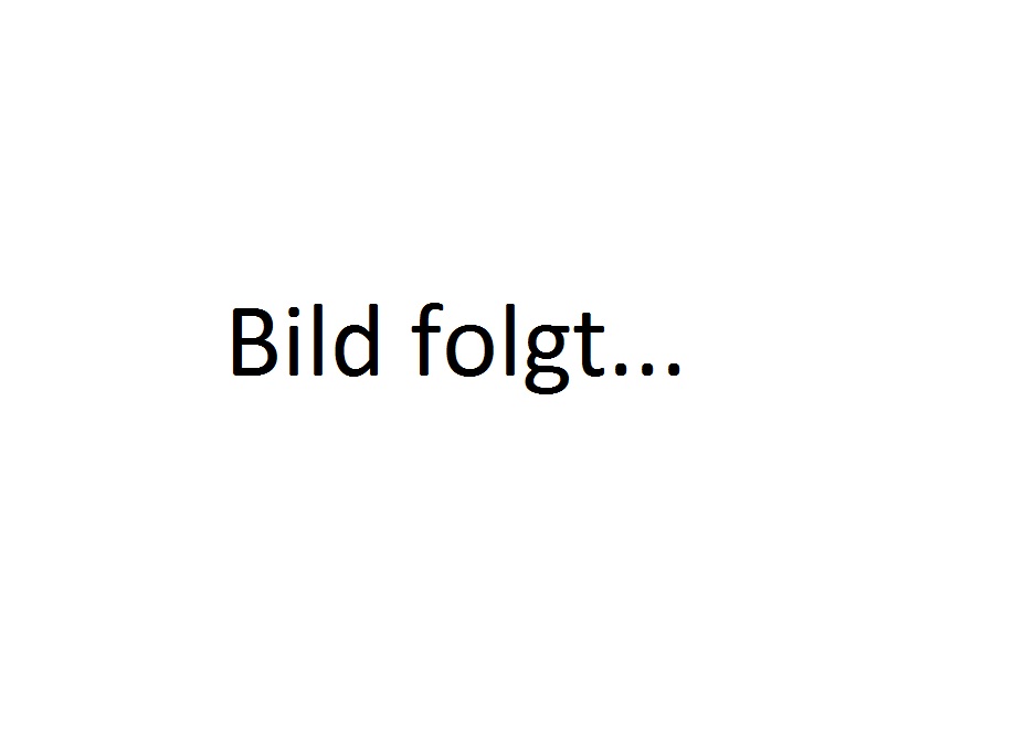 Bild: Anfang